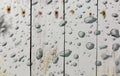 a photography of a wooden fence with water droplets on it, a close up of a wooden fence with water droplets on it