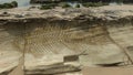 Photomontage of a large fantasy fish fossil on the layers that form on a stone