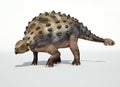 Photorealistic 3 D rendering of an Ankylosaurus. Royalty Free Stock Photo