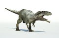 Photorealistic 3 D rendering of a Giganotosaurus. Royalty Free Stock Photo