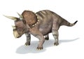 Photorealistic 3 D rendering of a Triceratops. Royalty Free Stock Photo