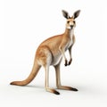 Photorealistic 3d Render Of Kangaroo On White Background