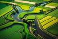 Aerial view of lush green agricultural fields and farm landscapes captured by a drone, Generative Ai