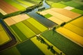 Aerial view of lush green agricultural fields and farm landscapes captured by a drone, Generative Ai