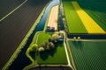 Aerial view of lush green agricultural fields and farm landscapes captured by a drone, Generative Ai