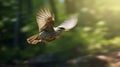 Photorealistic Bird Flying Through Forest: Stunning 8k Real Image