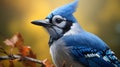 Photorealistic Blue Jay Portrait With Vibrant Fall Colors