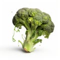 Photorealistic Broccoli Composition With Distorted Form