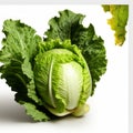 Photorealistic Cabbage Leaf: Meticulous Still Life With High-key Lighting Royalty Free Stock Photo