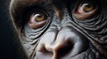 Photorealistic Chimpanzee Eye Close-up: Daz3d Inspired Commission