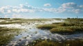 Arctic Wetland: 3d Model Of Lively Coastal Landscapes In Miami Beach