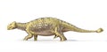 Photorealistic 3D rendering of an Ankylosaurus, with full skeleton superimposed.