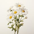 Photorealistic Daisy Drawing With Vintage Imagery