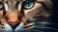 Photorealistic Detail: Capturing The Mesmerizing Eyes Of A Cat