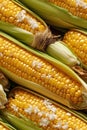 Photorealistic Detailed Seamless Pattern of Corn