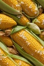 Photorealistic Detailed Seamless Pattern of Corn