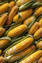 Photorealistic Detailed Seamless Pattern of Corn