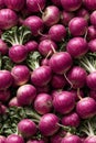 Photorealistic Detailed Seamless Pattern of Turnips