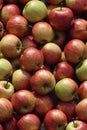 Photorealistic Detailed Seamless Patterns of Apples