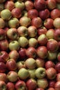 Photorealistic Detailed Seamless Patterns of Apples