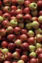 Photorealistic Detailed Seamless Patterns of Apples