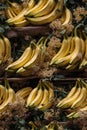 Photorealistic Detailed Seamless Patterns of Bananas