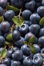 Photorealistic Detailed Seamless Patterns of Blueberries