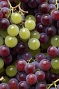 Photorealistic Detailed Seamless Patterns of Grapes