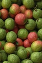 Photorealistic Detailed Seamless Patterns of Guava