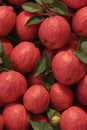 Photorealistic Detailed Seamless Patterns of Guava