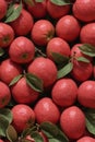 Photorealistic Detailed Seamless Patterns of Guava
