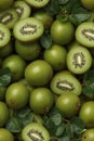 Photorealistic Detailed Seamless Patterns of kiwi