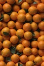 Photorealistic Detailed Seamless Patterns of Oranges