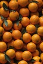 Photorealistic Detailed Seamless Patterns of Oranges