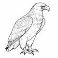 Photorealistic Eagle Coloring Pages For Children\'s Coloring Book