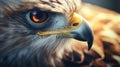 Photorealistic Eagle Head In Vray Tracing: A Captivating Close-up