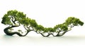 Photorealistic Heighway Dragon Curve Trees: Organic Forms And Graceful Balance