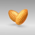 Photorealistic illustration of flying almond on gray background. Nuts on isolated background. Photorealistic illustration f