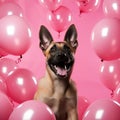 A photorealistic image of a Belgian Malinois puppy surrounded pink love-shaped balloons by AI generated