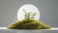 Photorealistic image of a fresh moss with hole on a white background Royalty Free Stock Photo