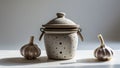 Photorealistic image of a garlic keeper pot with ventilation holes on a white background Royalty Free Stock Photo