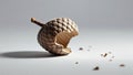Photorealistic image of a isolated acorn partially broken on a white background Royalty Free Stock Photo