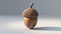 Photorealistic image of a realistic acorn standing on a white background Royalty Free Stock Photo