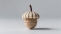 Photorealistic image of a striped acorn opened on a white background Royalty Free Stock Photo