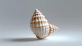 Photorealistic image of a tiny shell standing on a white background Royalty Free Stock Photo