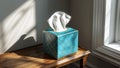 Photorealistic image of a tissue box on windowsill Royalty Free Stock Photo