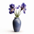 Photorealistic Iris In Modern Ceramic Vase - Stock Photo Quality Royalty Free Stock Photo