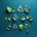 Photorealistic Leaf Art: Nine On Teal Background