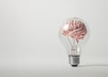 Photorealistic light bulb with pink human brains inside. Ai generated Royalty Free Stock Photo