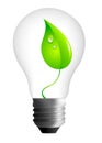 Photorealistic Light Bulb whit a leaf